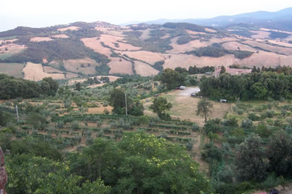 Internship in Tuscany