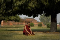 Study Buddhism in India